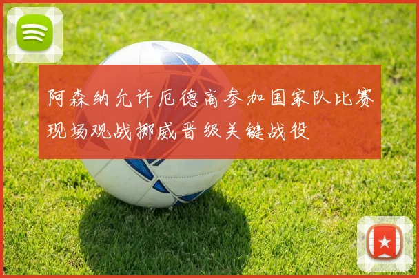 阿森纳允许厄德高参加国家队比赛现场观战挪威晋级关键战役