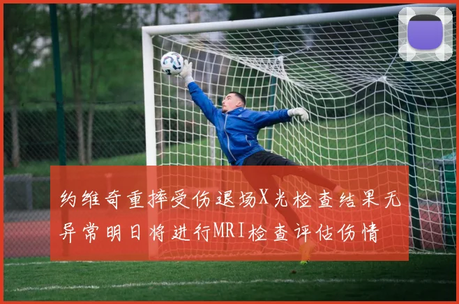 约维奇重摔受伤退场X光检查结果无异常明日将进行MRI检查评估伤情
