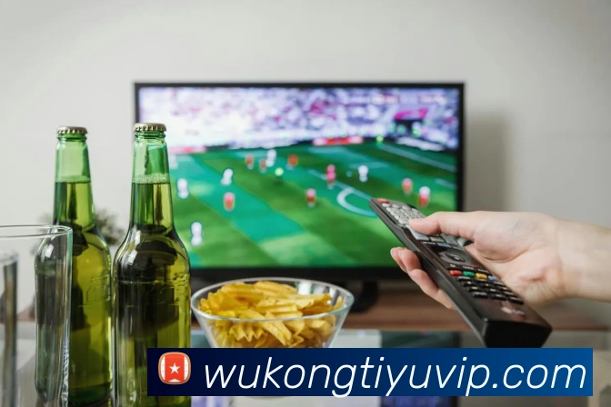 多媒体互动体验