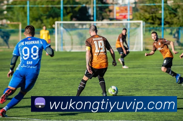 悟空体育APP 高清赛事图